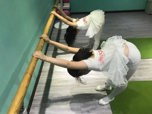 写美篇2019年3月20日民族舞一对二课堂内容: (一)基本功:把上压前腿