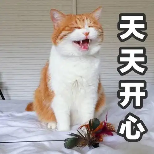 天天开心.jpg