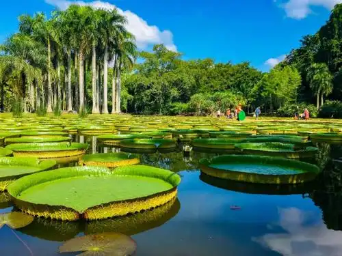 云南西双版纳回归最初的美好