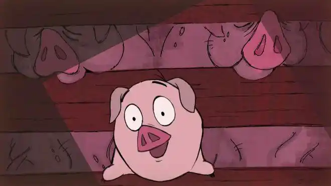 小猪的眼中有着"初生猪犊"的天真.