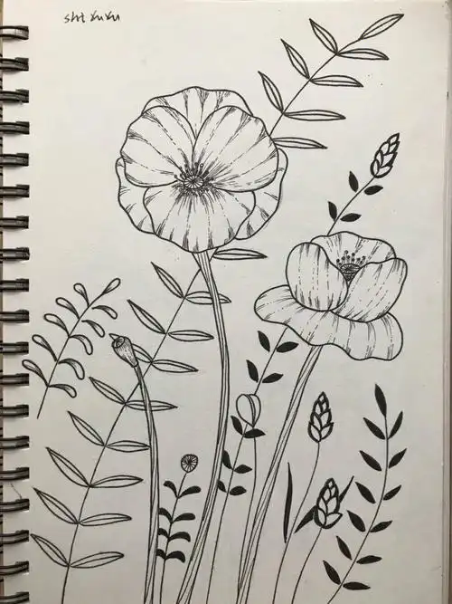 针管笔黑白线条画009