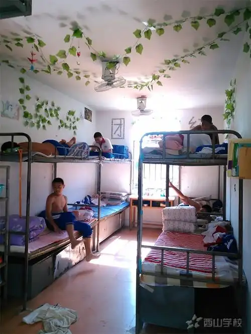 初二16班301宿舍美化