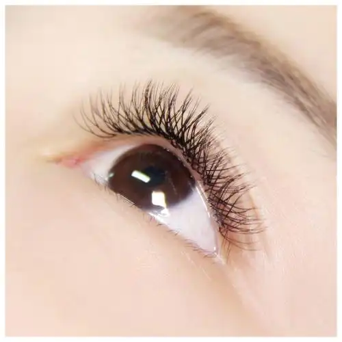 yy编制假睫毛嫁接自然舒适0负担柔软2d开花睫毛网编制朵毛c卷003