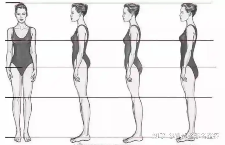 先看下三种身材比例