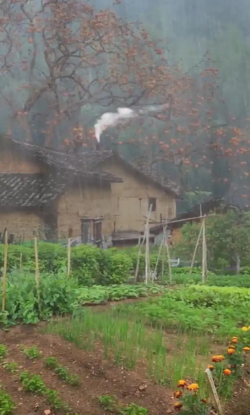 乡村夜雨景 - 烟雨迷离 - 抖音