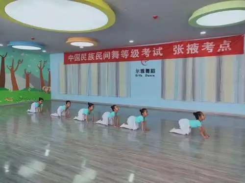 热烈庆祝尔雅教育2019年中国民族民间舞蹈考级圆满成功-------一级二