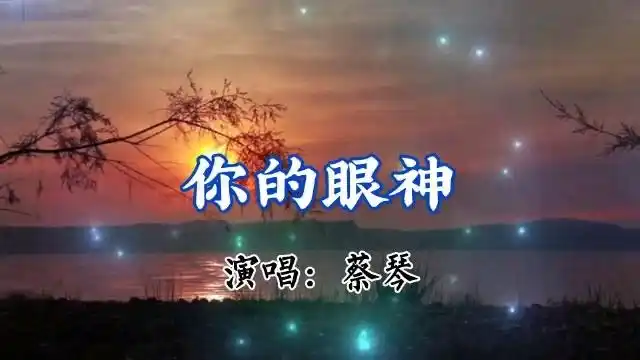 非常好听的歌曲【你的眼神】蔡琴