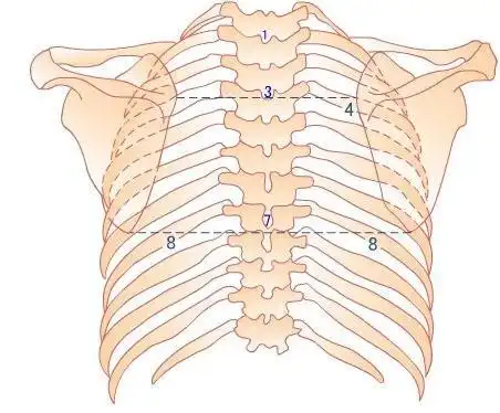胸椎出问题是怎么产生的?看完你就知道!