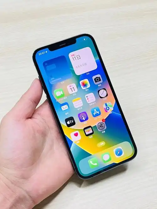 无锁全网5g 128g纯原装靓机 电池效率924999#苹果12  #12promax