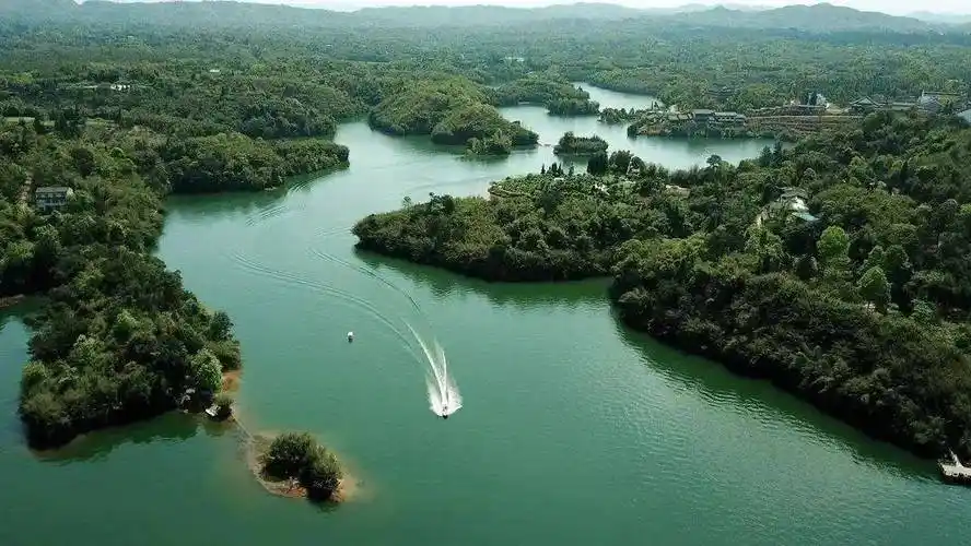 【分享】龙舟赛,音乐节……端午假期,泸州好耍!附出行攻略