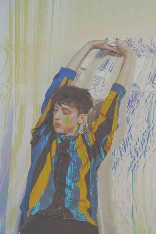 忍不住要安利我戳 名字:troye sivan 中文名:特洛伊·希文(戳爷