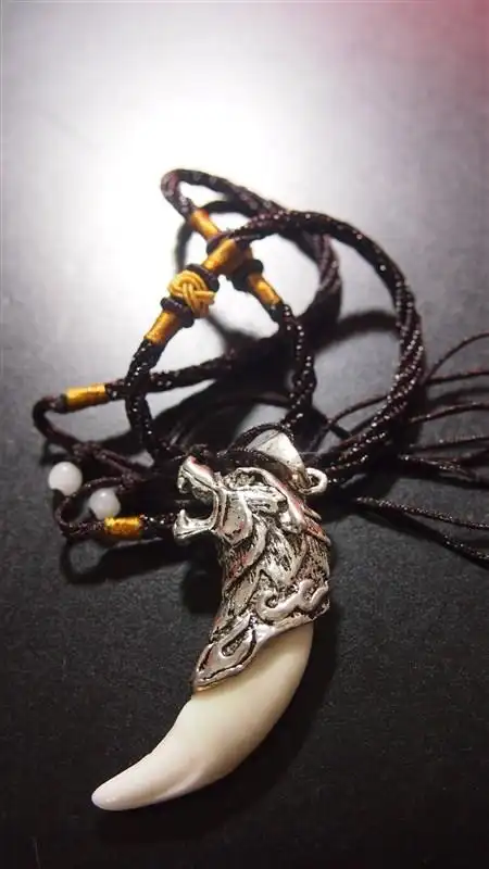 尼泊尔带来的狼牙 有喜欢的吗?