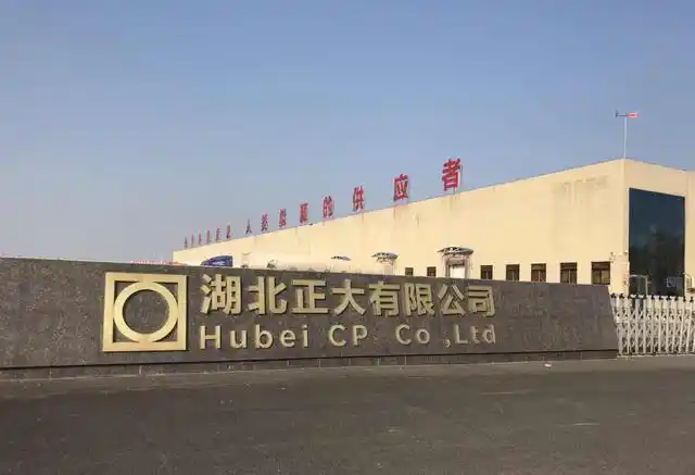 中国第一外企正大集团,在华投资超千亿,总部建在央视总部隔壁