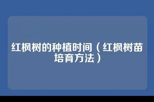 红枫树的种植时间(红枫树苗培育方法)