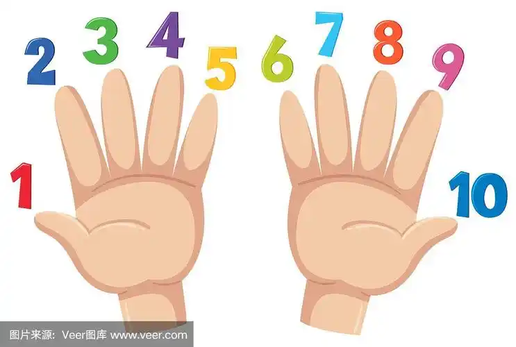 数,手指,数字10,背景分离,手