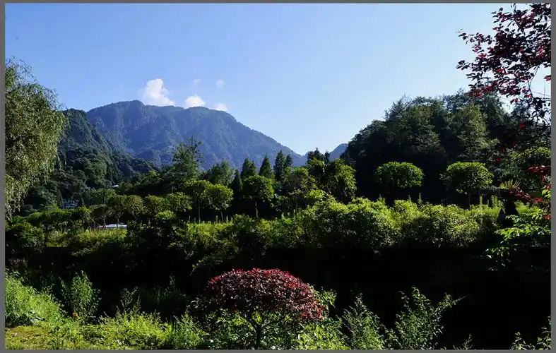 游拍青城后山-都江堰论坛-麻辣社区 四川第一网络社区 你的言论 影响