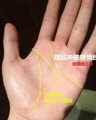 女性手相智慧线清晰明达一般情商很高善于经营家庭与事业