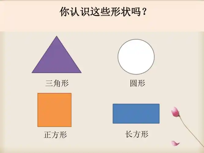 教科版2017秋科学一年级下册13认识物体的形状课件22ppt
