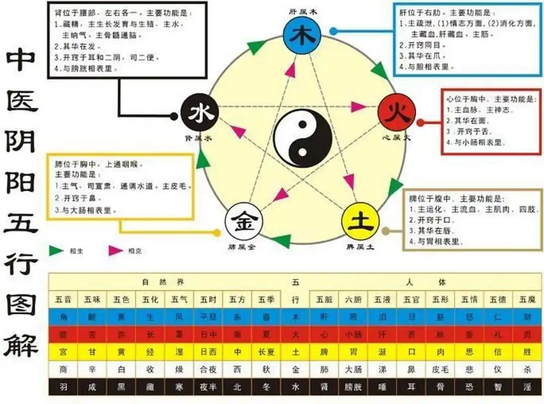 先天八卦对应人体先天八大穴用于元气养生 先天八卦对应人体先天八大