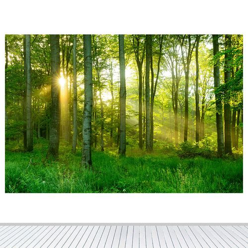 简约现代树林树木森林绿色护眼阳光客厅卧室餐厅墙贴画自粘画壁画