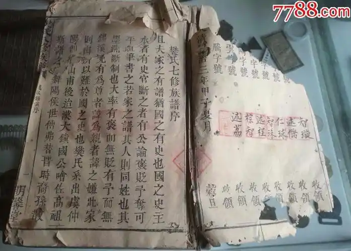 同治年樊氏家谱一本一套全