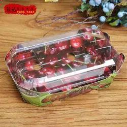 新品250g车厘子樱桃盒1斤车厘子包装盒100个一包水果盒塑料盒1斤