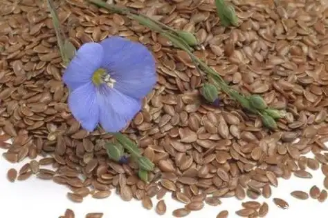 胡麻籽的功效与作用