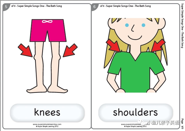 (获取方式见文末):身体部位认知(hair, feet, face, knees, shoulders