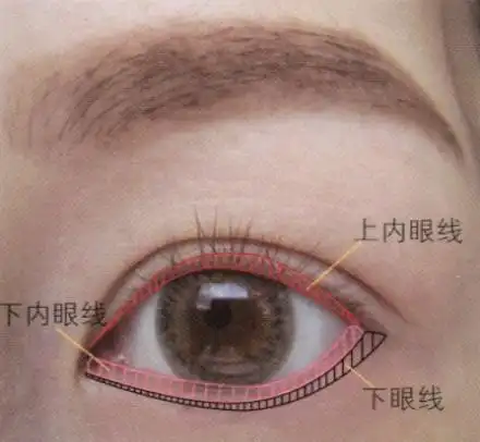 双眼皮女生必须画"内眼睑线"