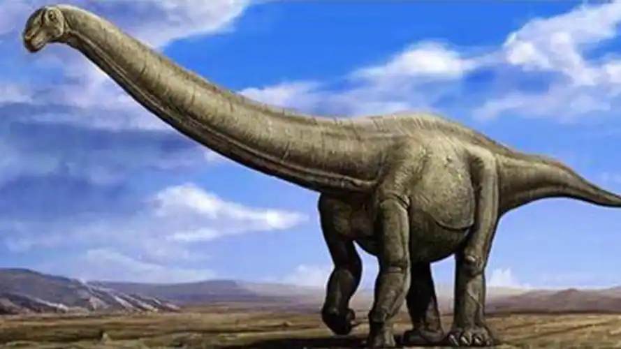 少儿简笔画(恐龙世界):长颈龙