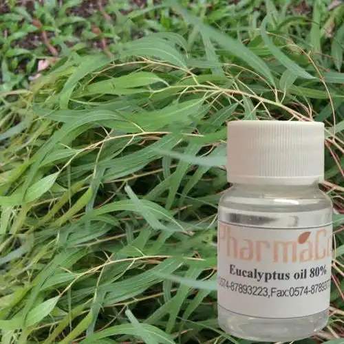 100% pure natural lemon eucalyptus oil(citriodora oil)