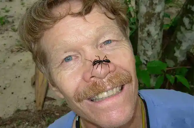 世界上咬人最疼的昆虫