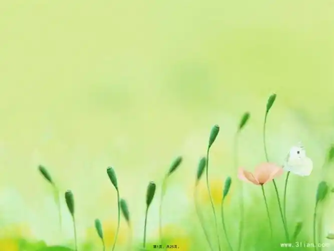 增强班级凝聚力-主题班会-20221118.ppt