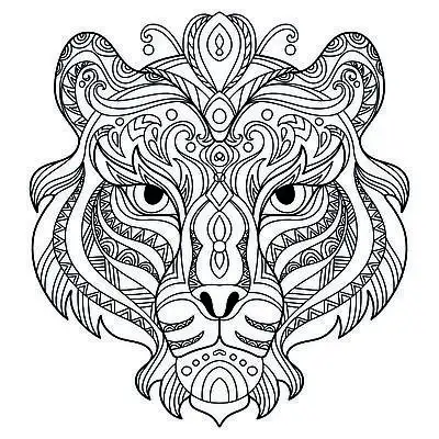 孤立在白色背景上的抽象矢量轮廓图.