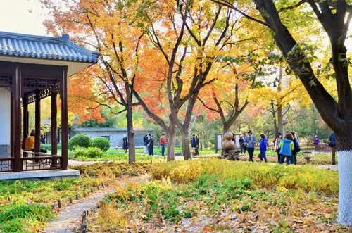 北京的秋天 - 地坛公园