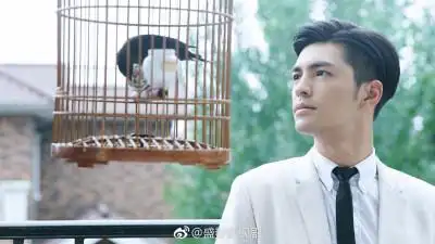 92米/水瓶座 《盛势》影视剧剧照 徐峰 饰演 袁纵