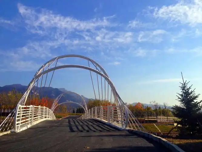 灵石森林公园景观桥工程