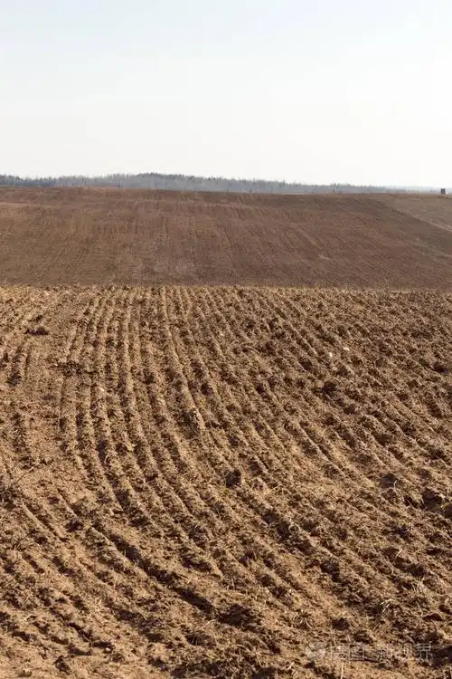 耕地的字段.犁过的农业耕地