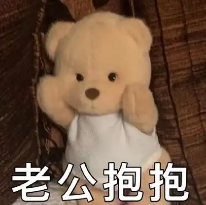 老公抱抱 - 毛绒玩具玩偶表情包