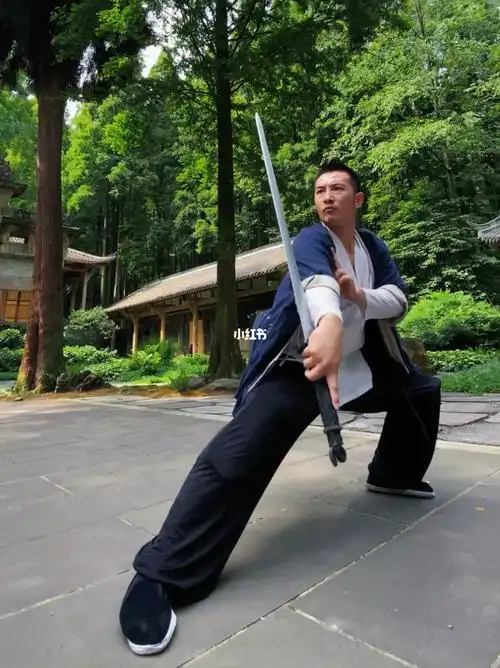 剑法随意剑法随心而动随意而行