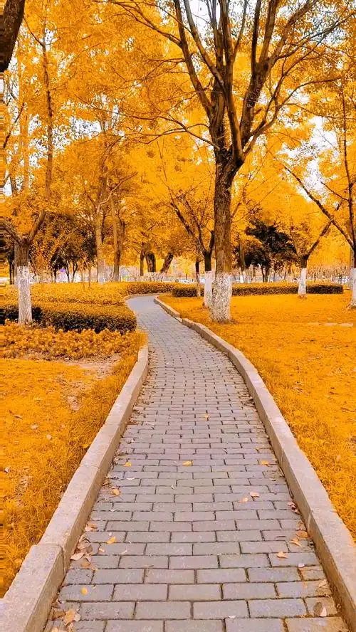 一条小路,曲曲弯弯细又长!-度小视