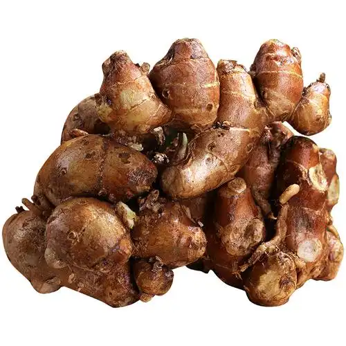 新鲜海南沙姜山姜生姜广东山奈种子白切鸡猪脚卤肉特香浓配味蘸料