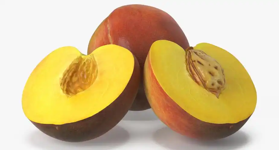 peach fruit collection 3d model