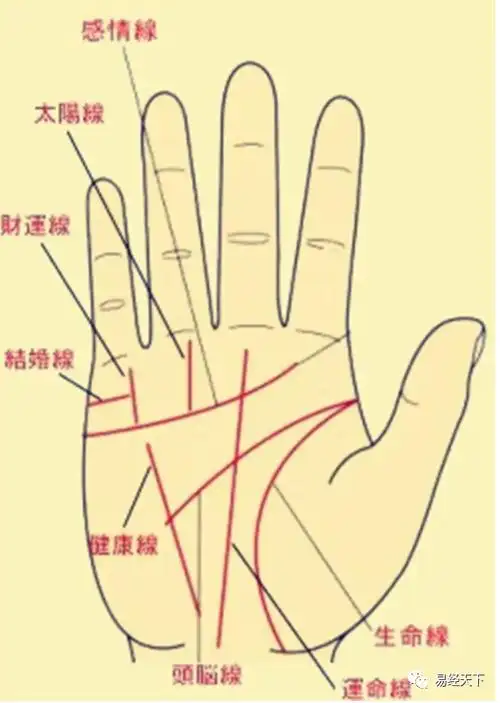 生命线绕到大拇指后方,是好是坏?