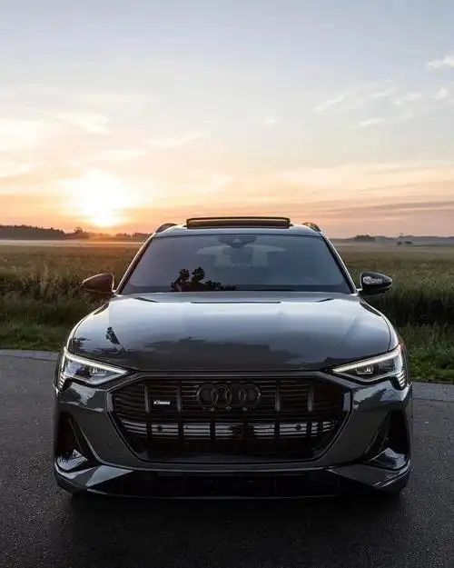 奥迪audietronblackedition黑武士