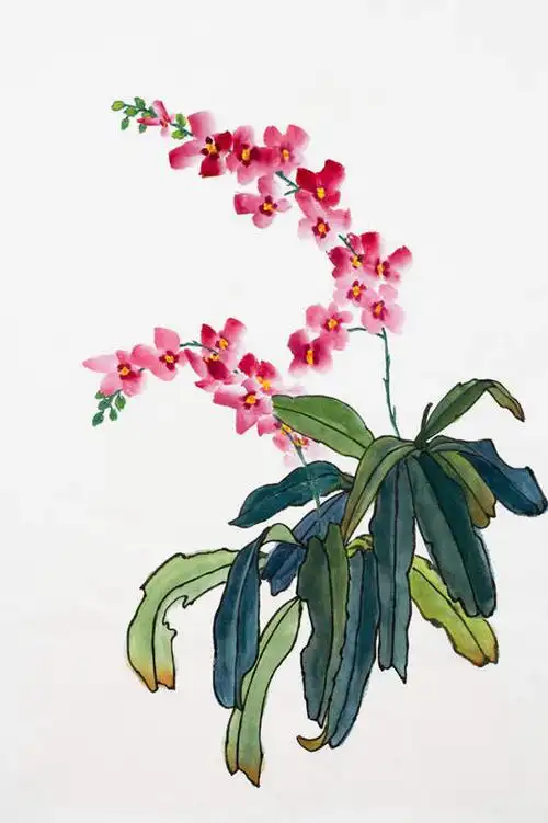 花朵,鲜花,粉色,工艺品,花苞,花蕊,品味,嫩叶,美术,高雅,国画,水墨画