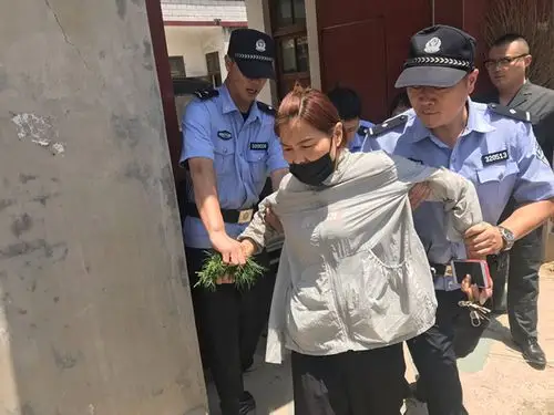 望城区法院跨省执行出重拳司法拘留3人,执行到位3143081元