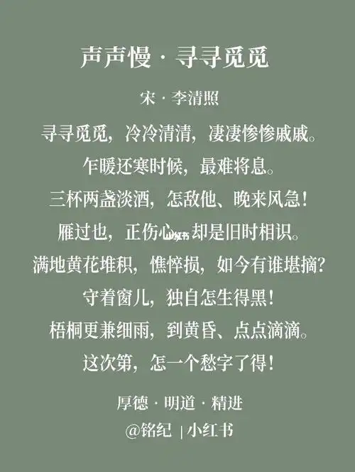 寻寻觅觅冷冷清清凄凄惨惨戚戚铭纪