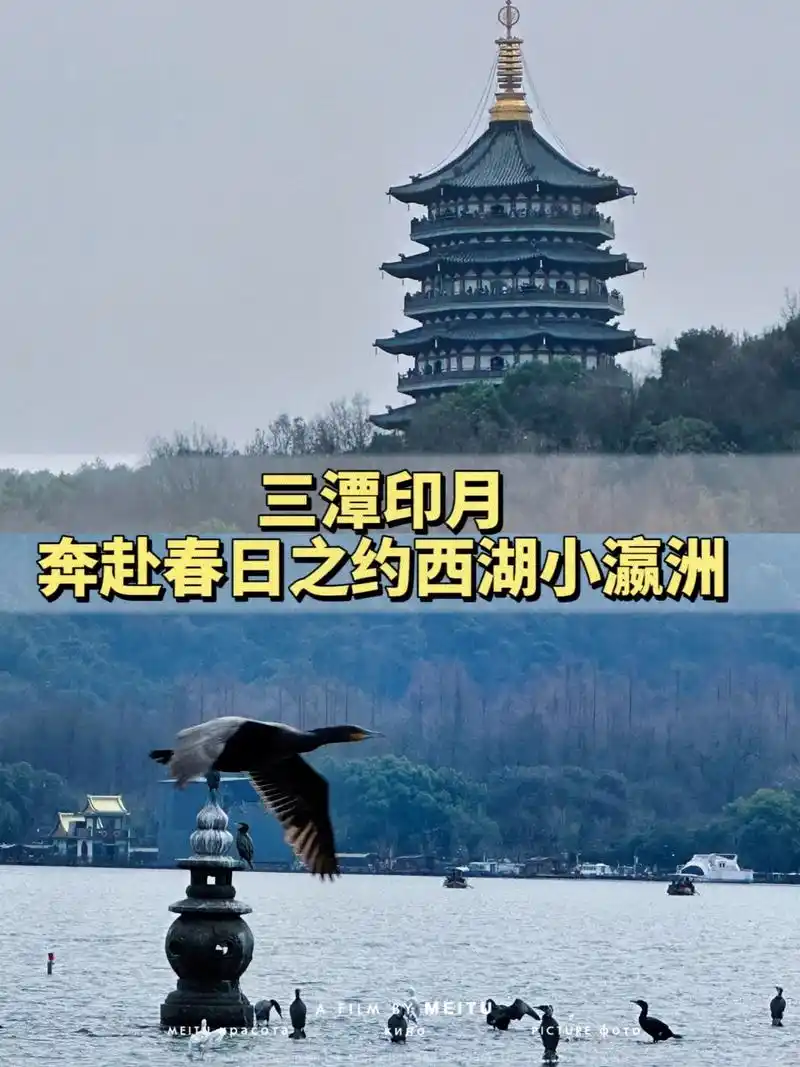 杭州西湖三潭映月打卡人民币一元背景图