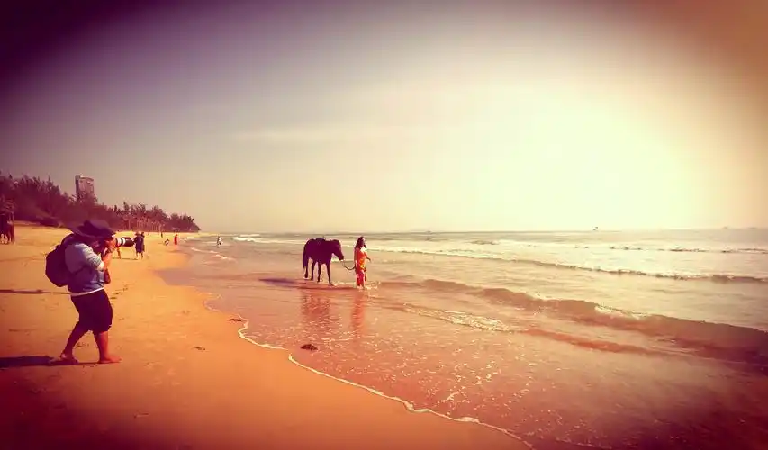 大海啊我的故乡